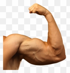 Muscle Arm Png Background Images Arts - Muscular Transparent