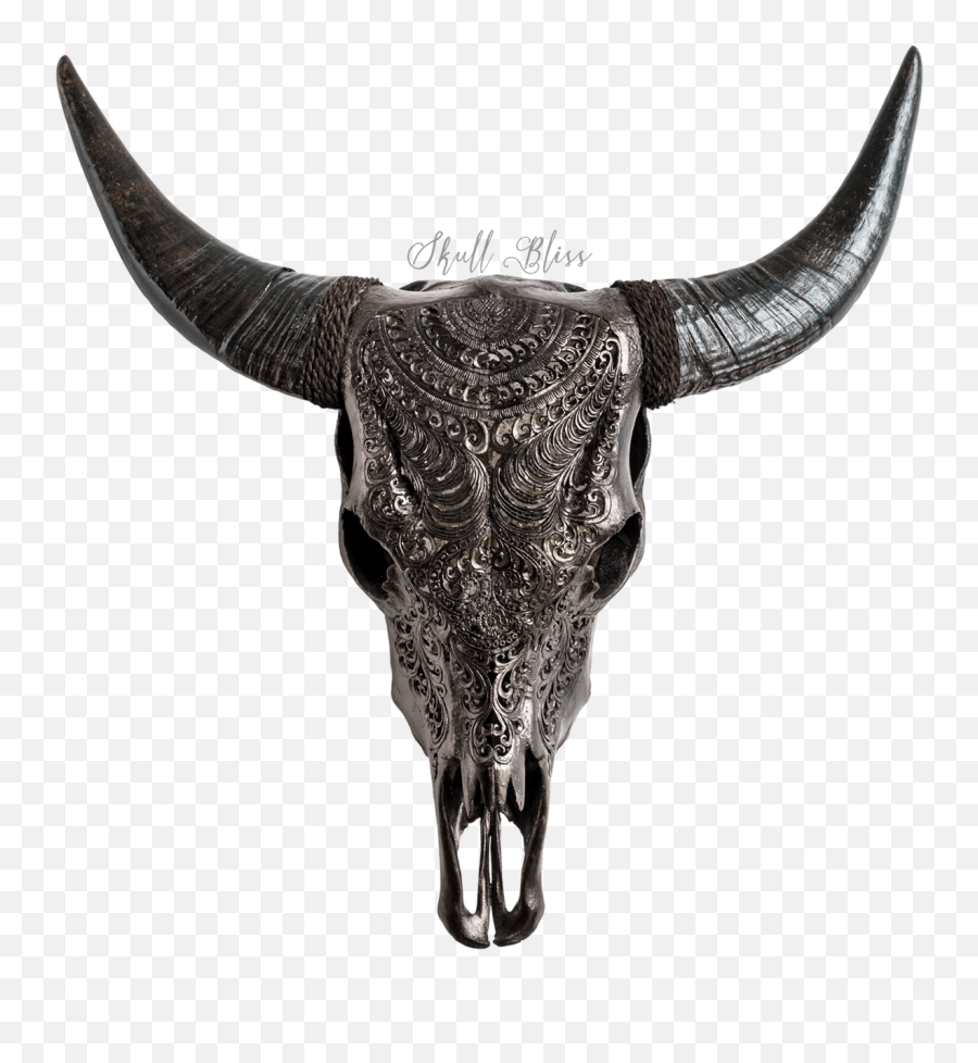 Carved Cow Skull Xl Horns - Cow Skull With Horns Png,Cow Skull Png