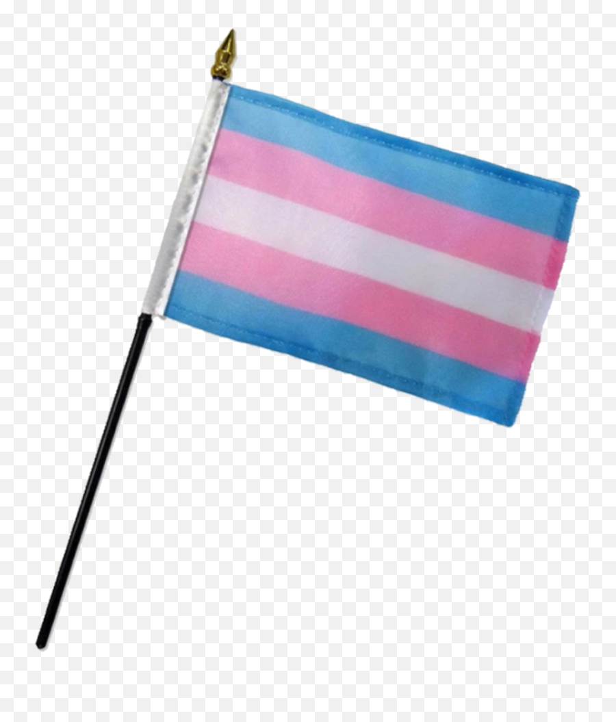 Lgbt Trans Flag Pole Sticker - Trans Flag On Stick Png,Trans Flag Png