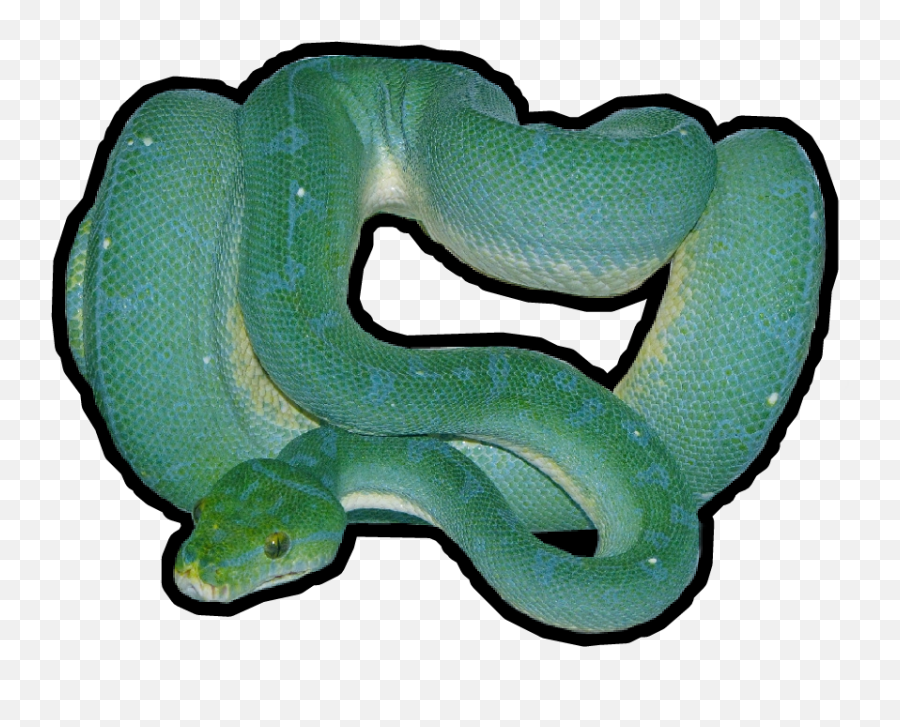 Snake Sticker - Snake Transparent Cartoon Jingfm Serpent Png,Green Snake Png