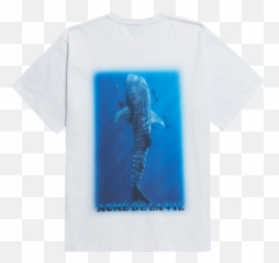Adlv Digital Printing Short Sleeve T - Shirt Whale Shark Png,Whale Shark Png
