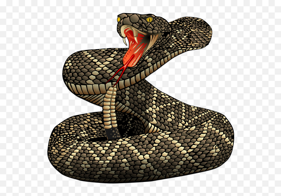 Download - Rattlesnakepngfile Free Transparent Png Images Rattlesnake Png,Cartoon Snake Png