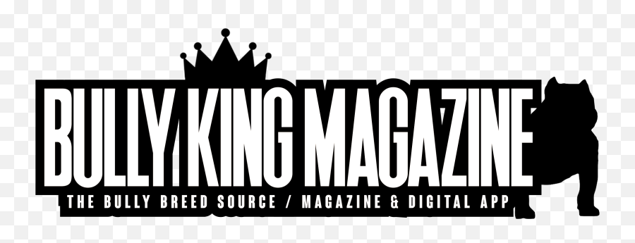 Become An Official 2019 Bully King Magazine Mascot - Bully King Magazine Logo Png,American Bully Logo