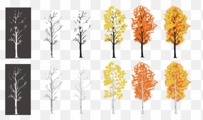 Creating An Aspen Tree I Drew - Vertical Png,Aspen Tree Png