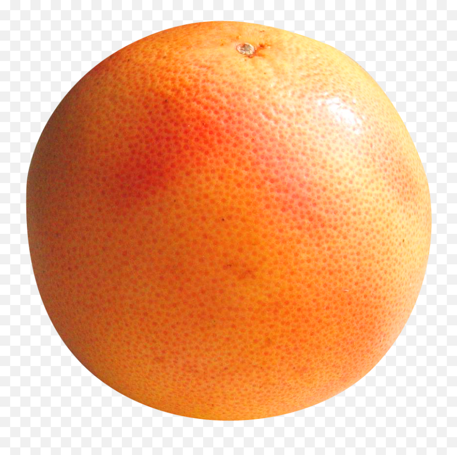 Grapefruit Icon - Grapefruit Png,Grapefruit Icon