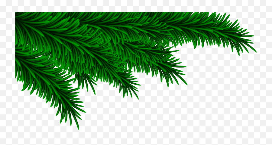 15 Christmas Branches Clipart For Free - Christmas Pine Branch Png,Pine Branch Png