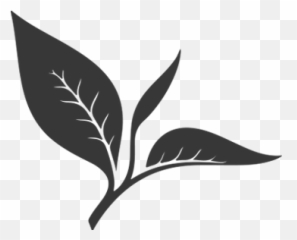 English Breakfast Tea Organic Leaves - Sketch png