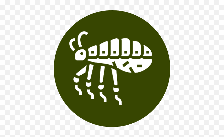 Ecosafe Pest Management Llc - Pest Control For Homes And Pulga Animado Para Colorear Png,Flea Icon