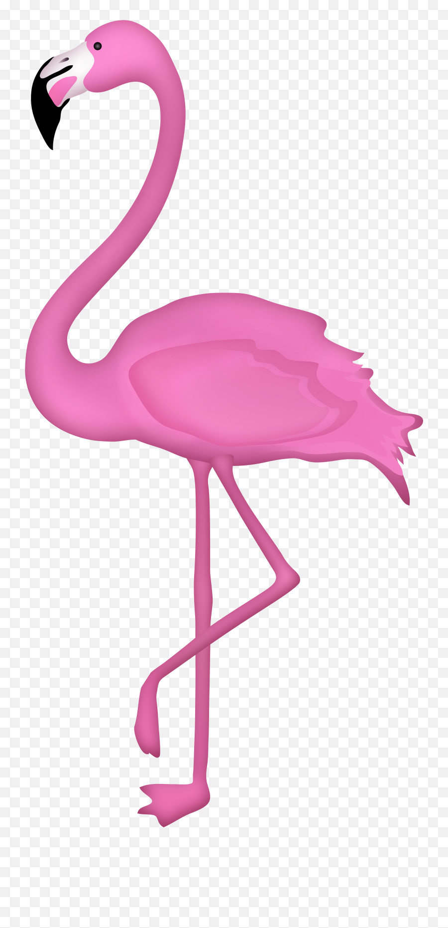 Flamingo Clipart Transparent Png Background