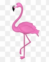Flamingo Clipart Transparent Png Background