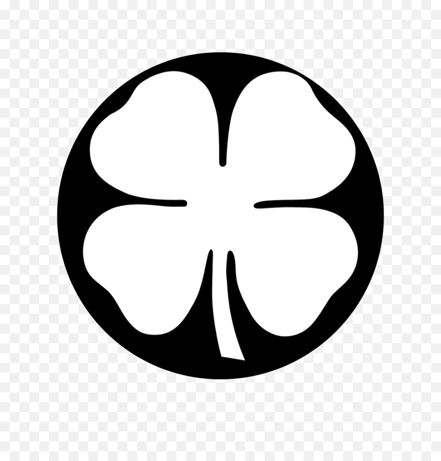 Download 15 White Four Leaf Clover Png For Free - 4 Leaf Clover Png,Clover Png