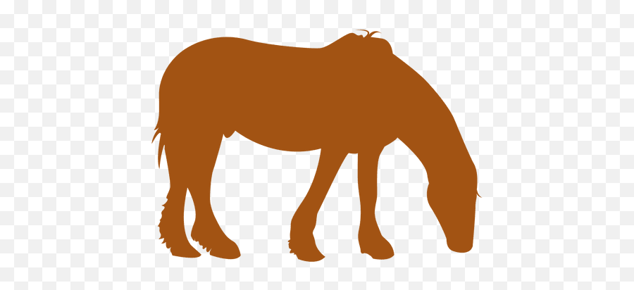 Orange Horse Silhouette - Transparent Png U0026 Svg Vector File Horse Orange Silhouette Png,Horse Silhouette Png
