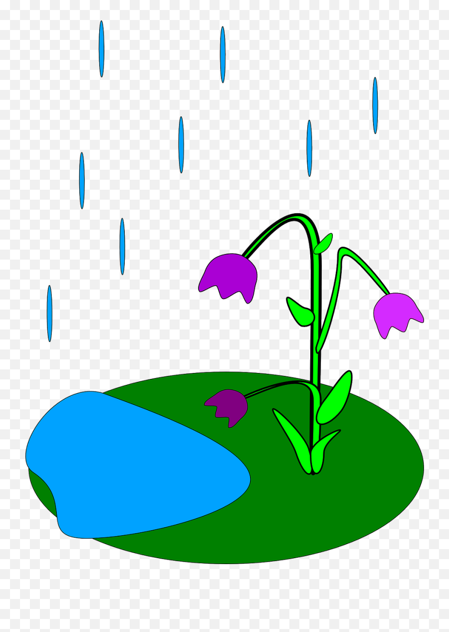 Library Of Rain Flowers Sun Clipart Royalty Free Png - Rain Formed For Kids,Facts Png