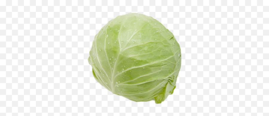 Cabbage Png Image - Free Cabbage,Cabbage Transparent