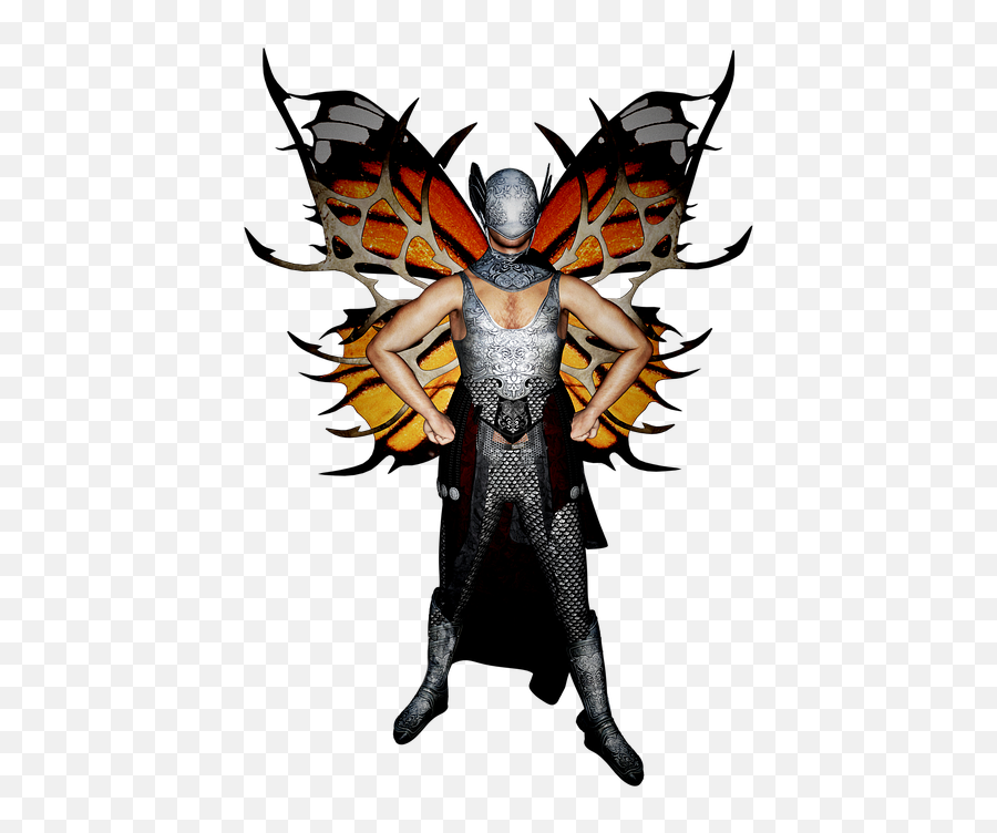 Butterfly Wing Png 1 Image - Insect Elf,Butterfly Wing Png