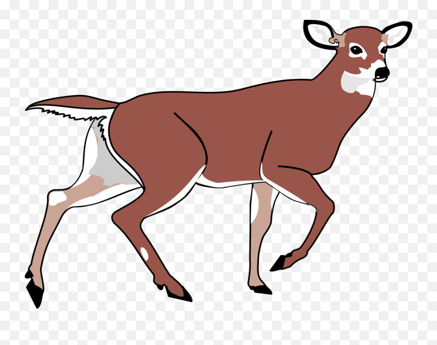 Download Deer Black And White Images Png Clipart - Animated Deer,Buck Png