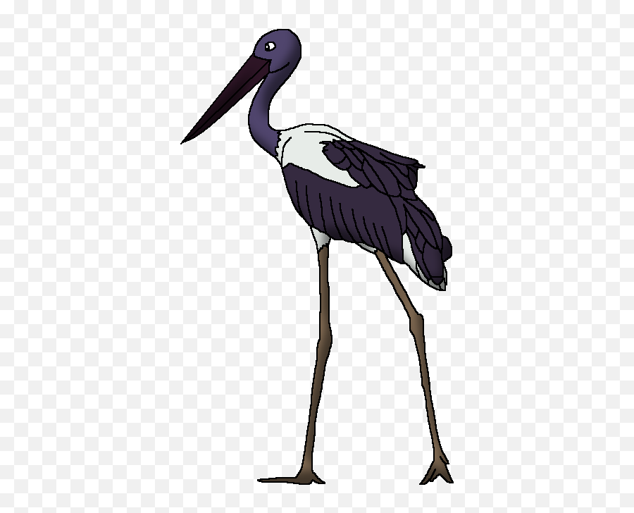 Black - Necked Stork Wildlife Animal Pedia Wiki Fandom Black Stork Png,Stork Png