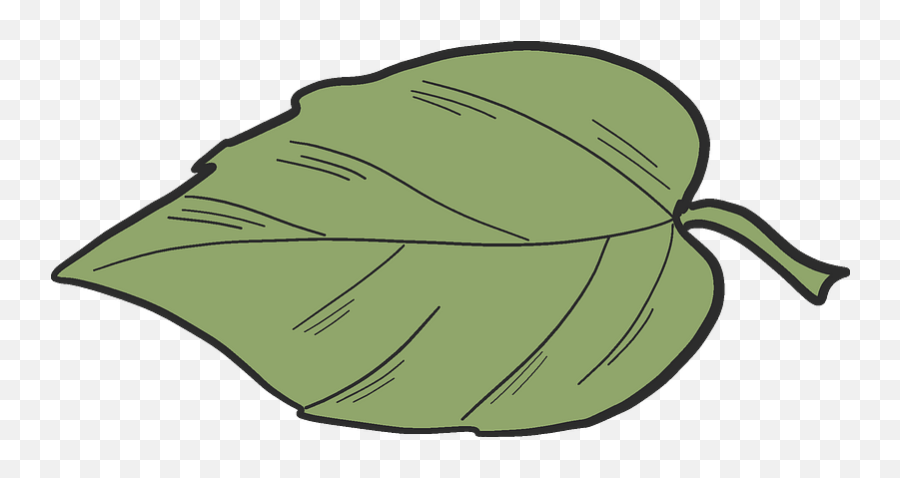 Apple Tree Leaf Clipart Free Download Transparent Png - Tree Leaf Clipart,Apple Tree Png