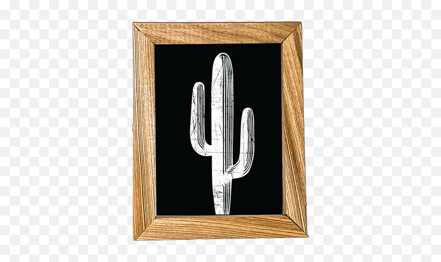 Saguaro Micro - Picture Frame Png,Saguaro Png