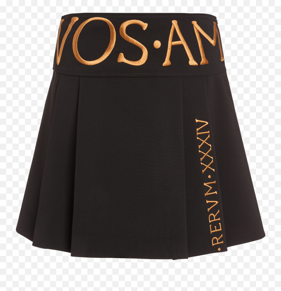 Roman Embroidery Crepe Mini Skirt - Miniskirt Png,Skirt Png