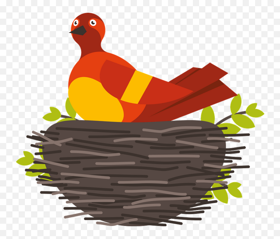 Download Bird In The Nest Clipart - Illustration Png,Bird Nest Png