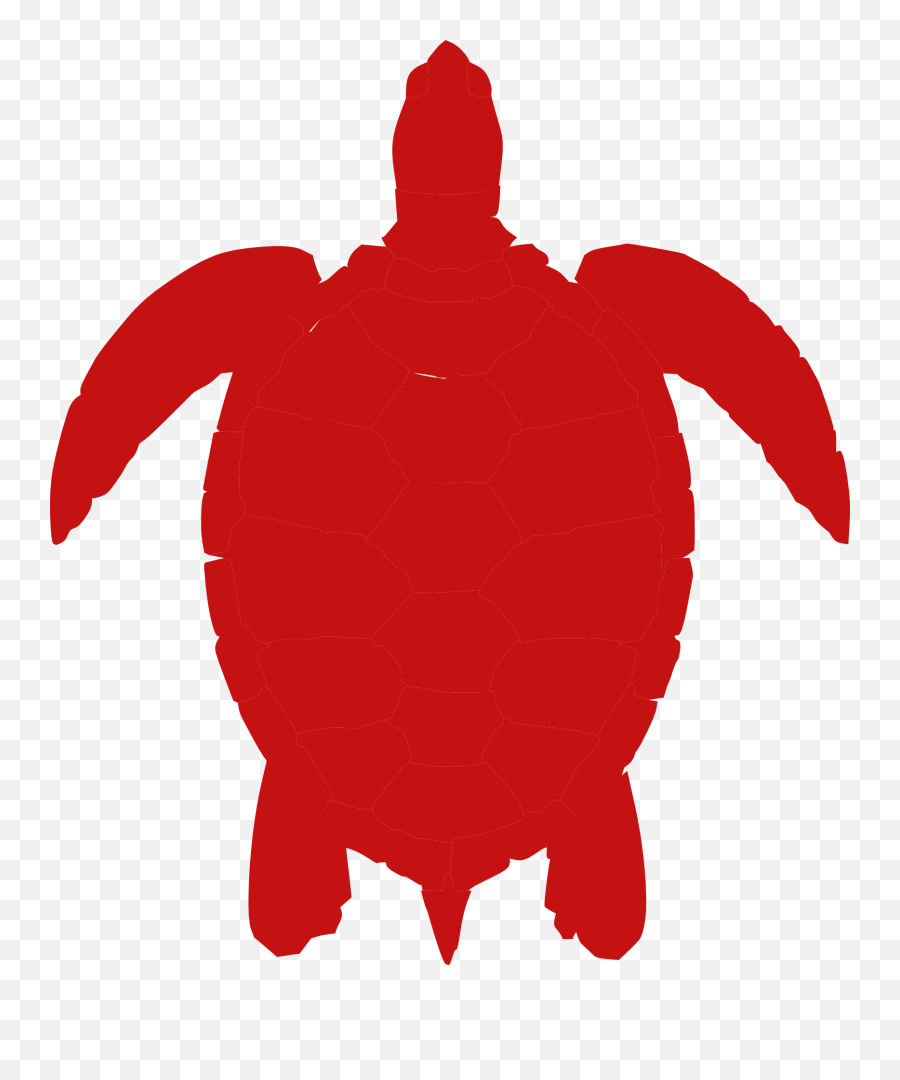 Turtle Red Animal - Free Vector Graphic On Pixabay Silhouette Turtle Vector Png,Turtle Png