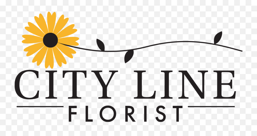 See What Others Are Saying About City Line Florist - African Daisy Png,Mandy Rose Png