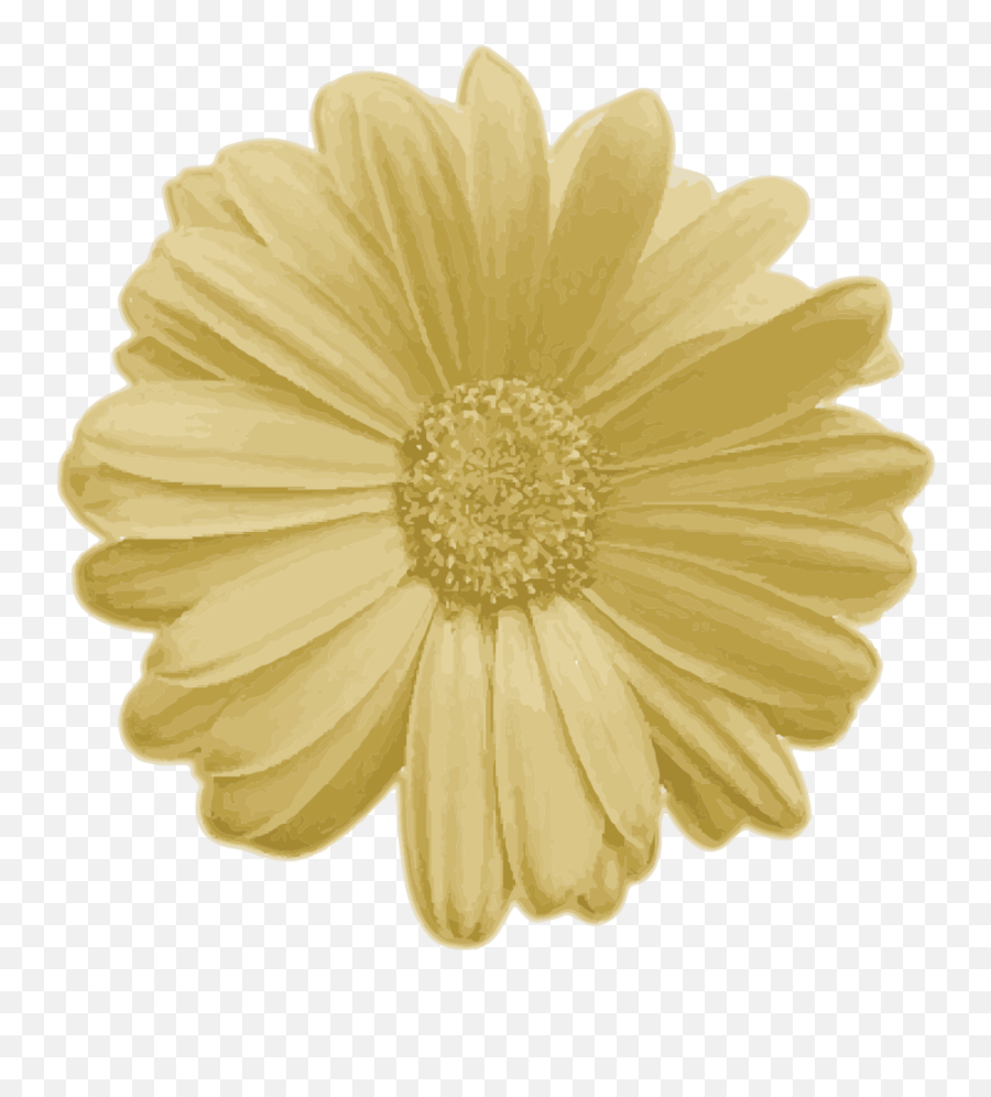 Download Hd Real Flower Png Transparent - Real Flower Png,Real Flower Png