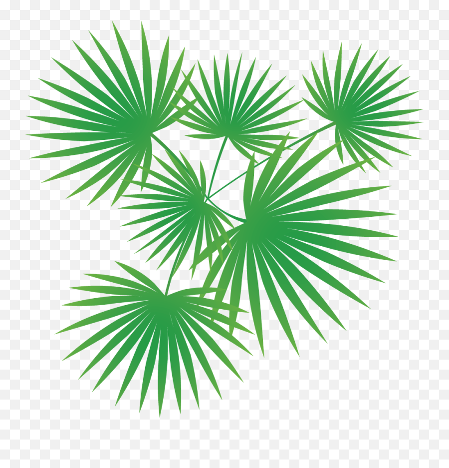 Palm Tree Vector - Palm Trees Vector Png,Tree Vector Png