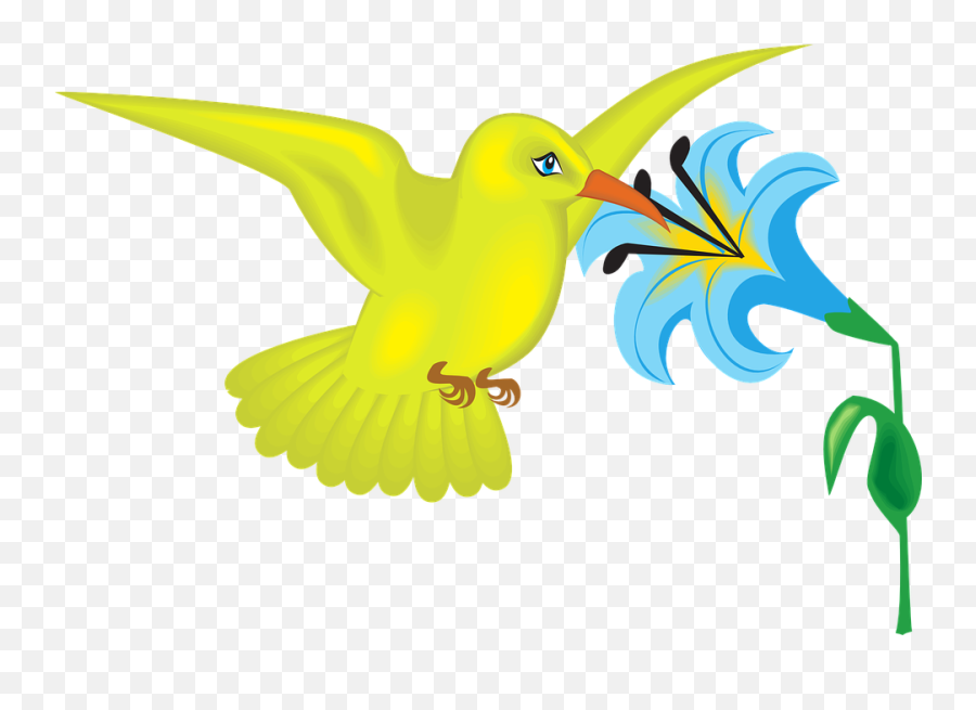 Cartoon Bird Png - Flower And Bird Clipart,Cartoon Bird Png