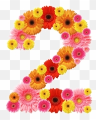 2 Number Png Free Download - Flower Design
