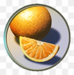 Citrus - Rangpur Png,Citrus Png
