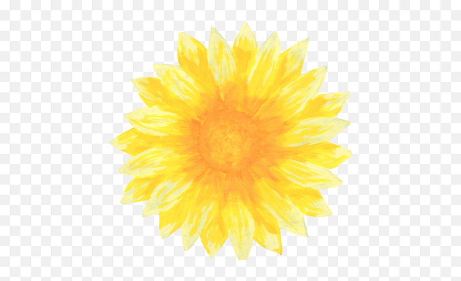 Download Clip Art Library Sunflowers Png For Free - Fresh,Sunflowers Png