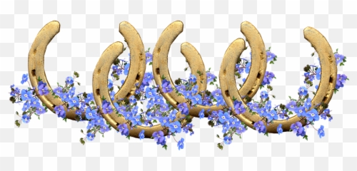 Horseshoes Flowers Lucky Horseshoe Luck - Caballo Con Flores Png,Horseshoe Transparent