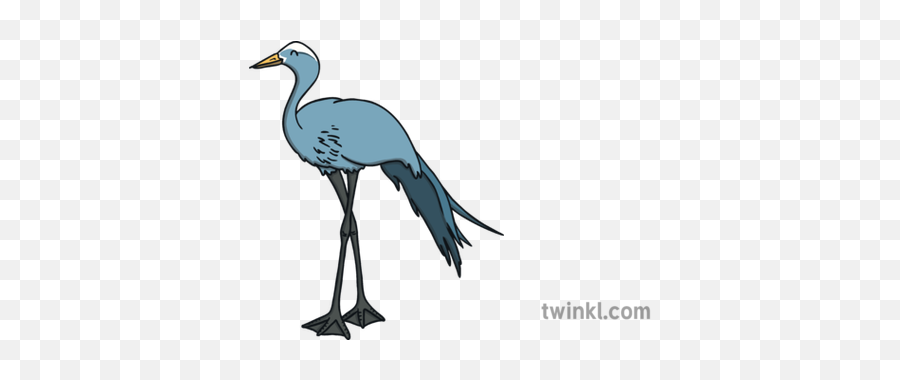 Blue Crane Bird South Africa Word Mat English Ks1 - Long Png,Crane Bird Png