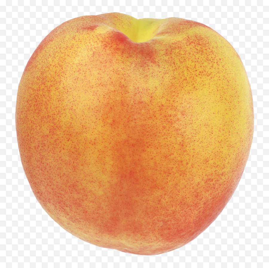 Peach Png Image - Purepng Free Transparent Cc0 Png Image Peach Fruit Blank Background,Peach Transparent