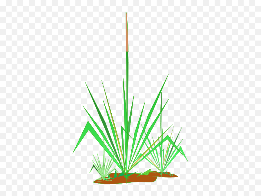 Grass Clipart Transparent - Grass Png,Grass Clipart Transparent