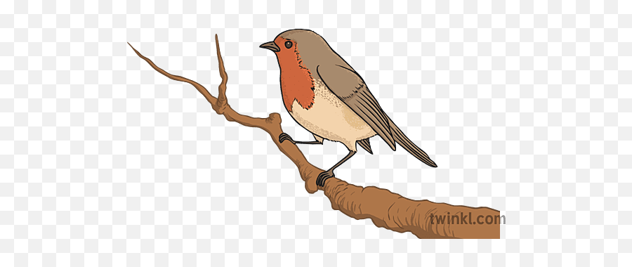 El Petirrojo Illustration - Twinkl Twig Png,Storybird Icon