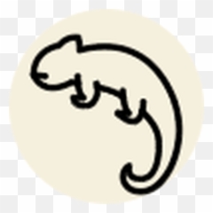 Shop - Small Animal u0026 Bird Fish Reptile Page 1 Pet Lizard png