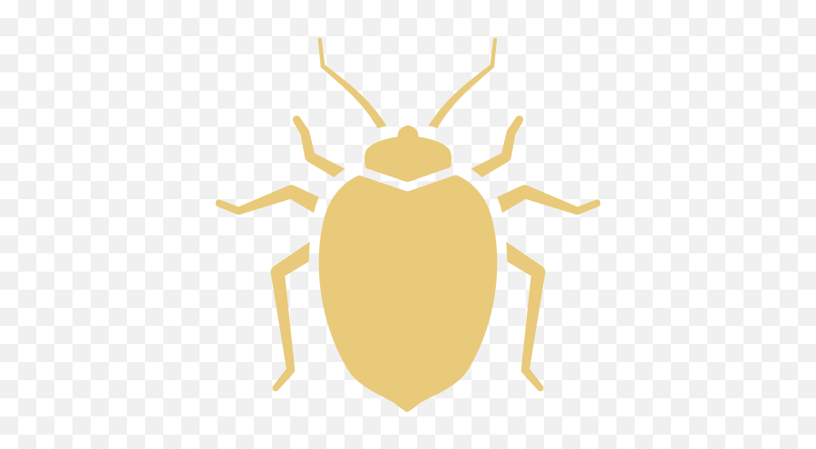 Our Pest Control Services In Northern California - Pest Control Services Icons Png,Flea Icon