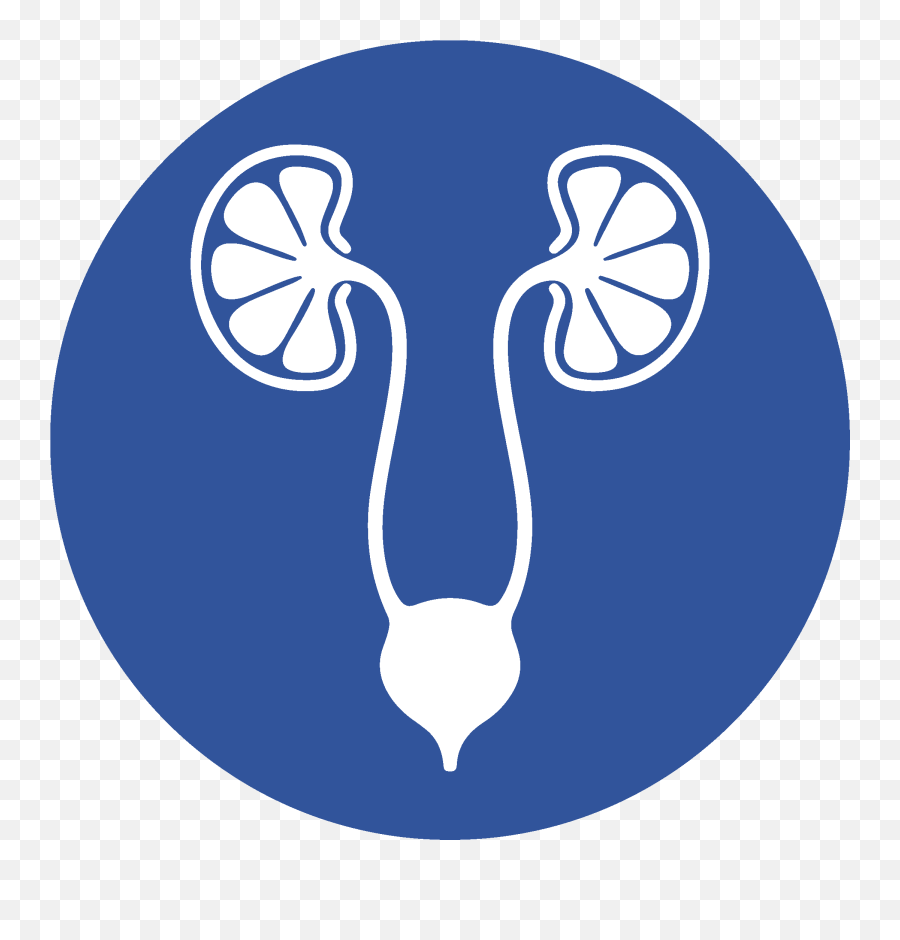 Kidney Problems I Renal Issues Curau0027s Best Nephrology Unit - Dot Png,Nephrology Icon