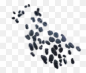 Scales Nightfury Toothless 307970398231211 By Dragonelko Png