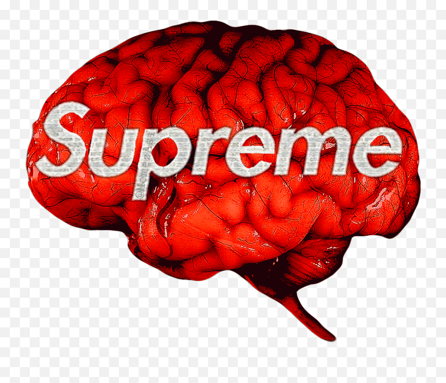 Supreme Bape Logo Posted - Bape Supreme Logo Png,Bape Logo Png