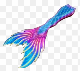 Mermaid - Tail Png Free