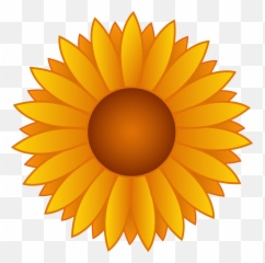 Free Sunflower Clipart Transparent Background Download - Cute png