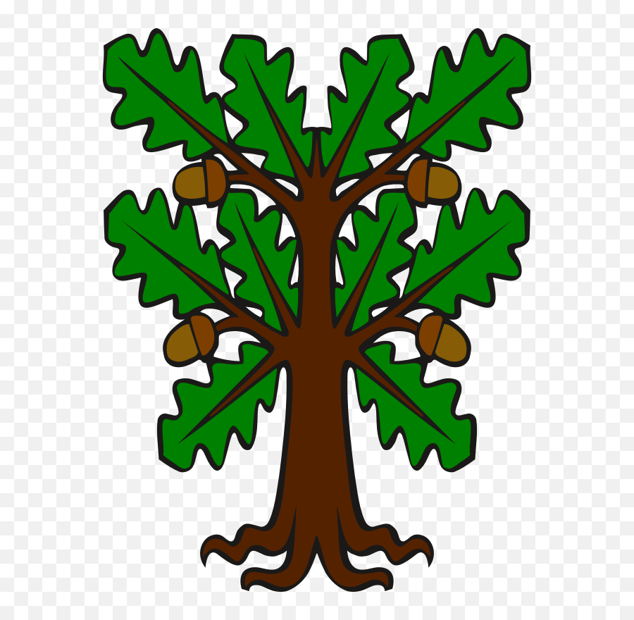 Acorn Clipart Png - Acorn Leaf English Oak White Oak Oak Clip Art Tree,Acorn Transparent Background