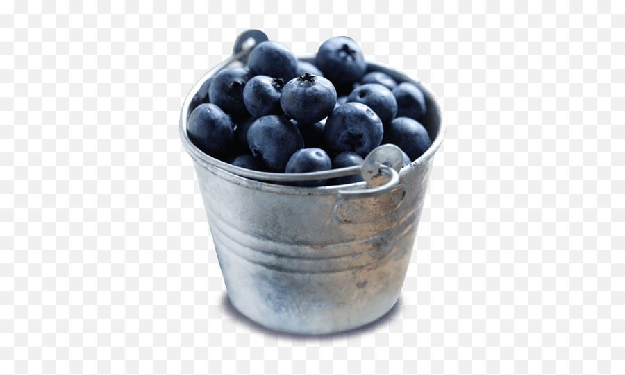 Bowl Of Blueberries Transparent Png - Bucket Of Blueberries Png,Blueberries Png