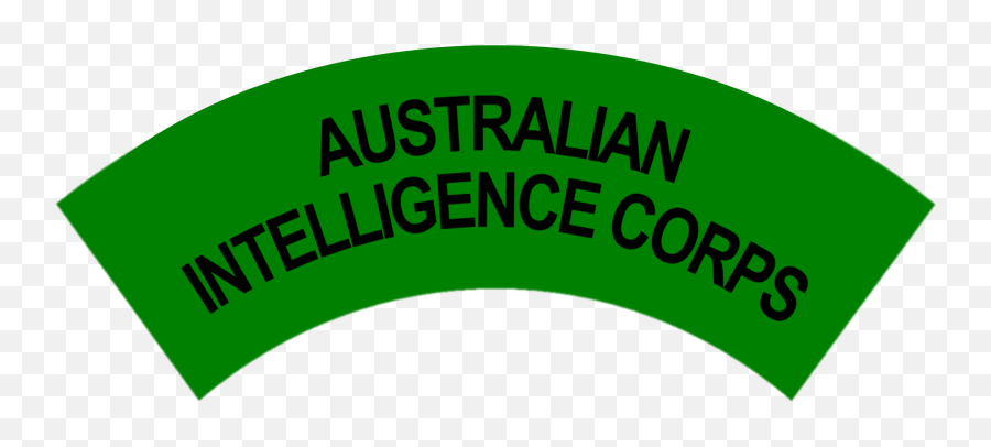 Intelligence Corps Battledress Flash No - Australian Institute Of Sport Png,The Flash Transparent Background