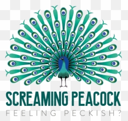 Screaming Peacock U2013 Feeling Peckish - Peacock Vector Png,Peacock Png
