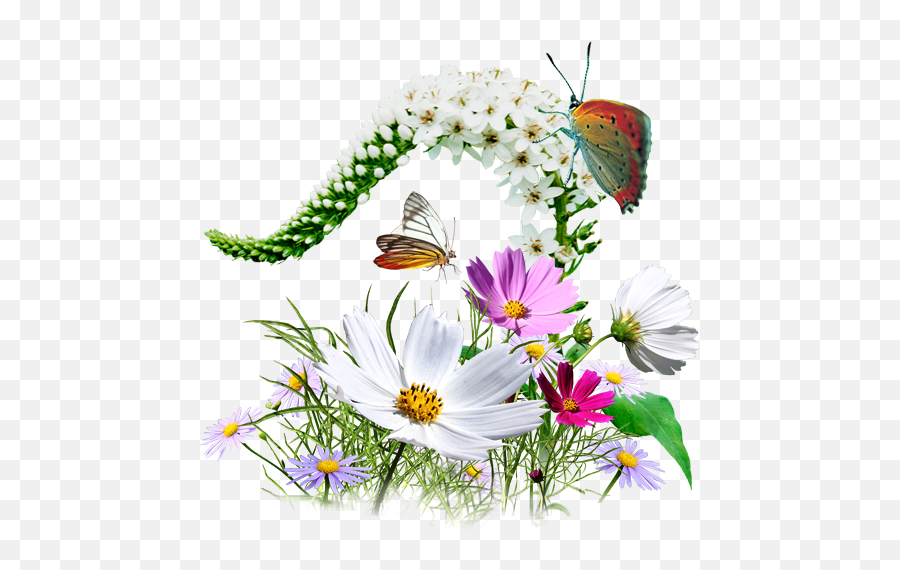 Png Image Format Download Transparent - Wild Flower Png Icon,Png Image Format